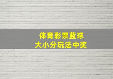 体育彩票蓝球大小分玩法中奖