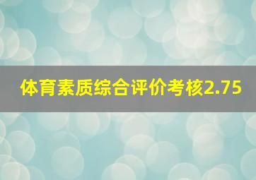 体育素质综合评价考核2.75