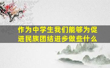 作为中学生我们能够为促进民族团结进步做些什么