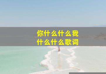 你什么什么我什么什么歌词