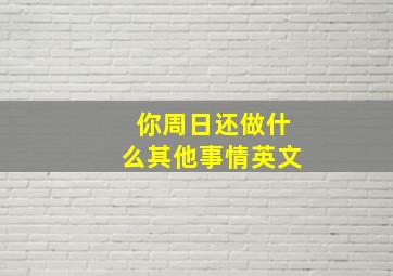 你周日还做什么其他事情英文