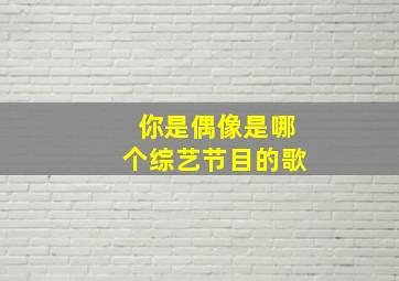 你是偶像是哪个综艺节目的歌