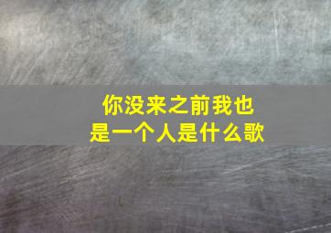 你没来之前我也是一个人是什么歌