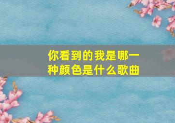 你看到的我是哪一种颜色是什么歌曲