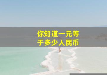 你知道一元等于多少人民币