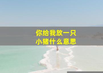 你给我放一只小猪什么意思