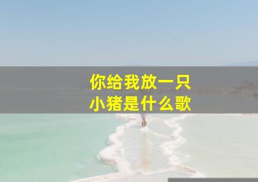 你给我放一只小猪是什么歌