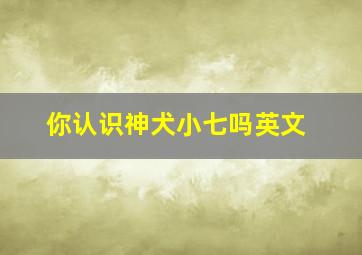 你认识神犬小七吗英文