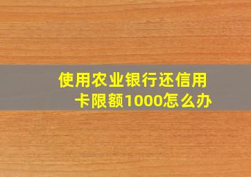 使用农业银行还信用卡限额1000怎么办