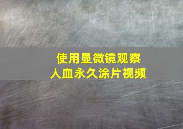 使用显微镜观察人血永久涂片视频