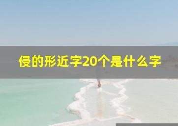 侵的形近字20个是什么字