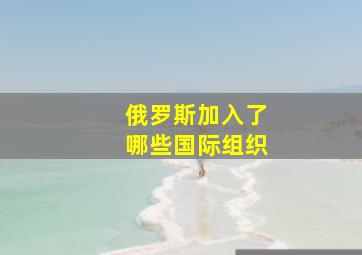 俄罗斯加入了哪些国际组织