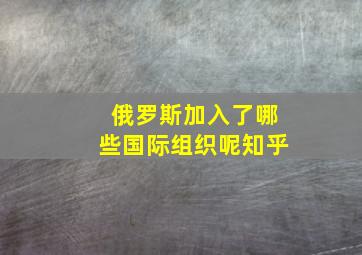 俄罗斯加入了哪些国际组织呢知乎