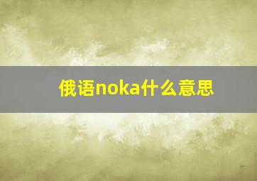 俄语noka什么意思