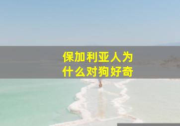 保加利亚人为什么对狗好奇