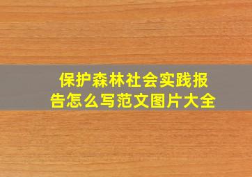 保护森林社会实践报告怎么写范文图片大全