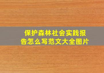 保护森林社会实践报告怎么写范文大全图片