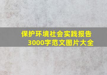 保护环境社会实践报告3000字范文图片大全