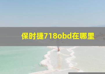 保时捷718obd在哪里