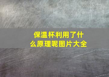 保温杯利用了什么原理呢图片大全