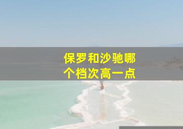 保罗和沙驰哪个档次高一点