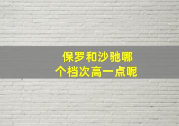 保罗和沙驰哪个档次高一点呢