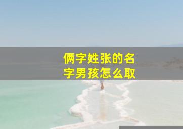 俩字姓张的名字男孩怎么取