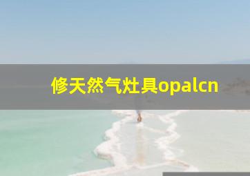 修天然气灶具opalcn