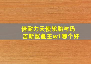 倍耐力天使轮胎与玛吉斯鲨鱼王w1哪个好