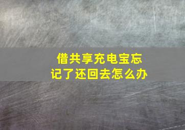 借共享充电宝忘记了还回去怎么办