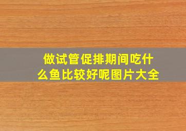 做试管促排期间吃什么鱼比较好呢图片大全