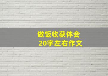 做饭收获体会20字左右作文