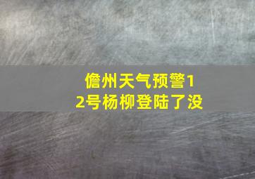 儋州天气预警12号杨柳登陆了没