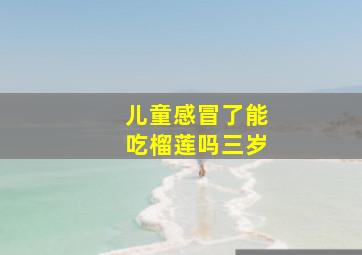 儿童感冒了能吃榴莲吗三岁