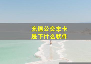 充值公交车卡是下什么软件