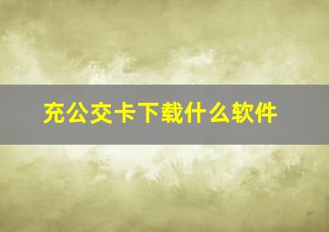 充公交卡下载什么软件