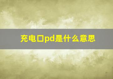 充电口pd是什么意思