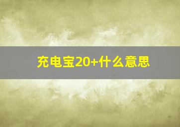 充电宝20+什么意思