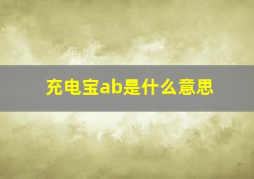 充电宝ab是什么意思