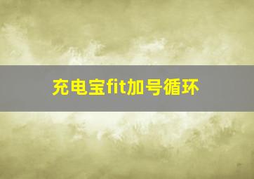 充电宝fit加号循环