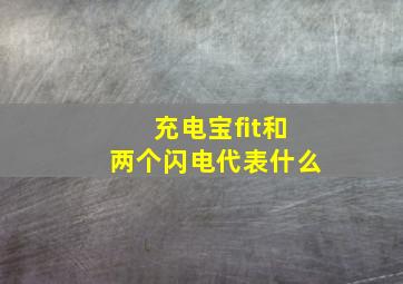 充电宝fit和两个闪电代表什么