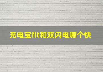 充电宝fit和双闪电哪个快