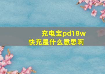 充电宝pd18w快充是什么意思啊