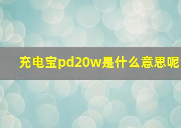 充电宝pd20w是什么意思呢