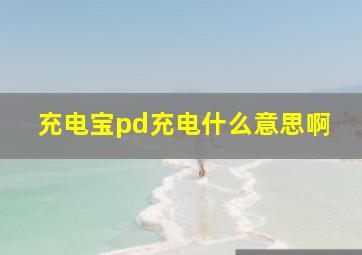 充电宝pd充电什么意思啊