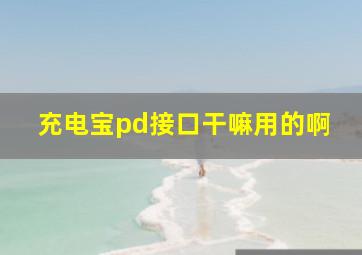 充电宝pd接口干嘛用的啊