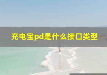 充电宝pd是什么接口类型