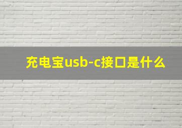 充电宝usb-c接口是什么