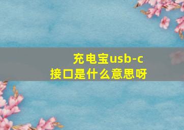 充电宝usb-c接口是什么意思呀