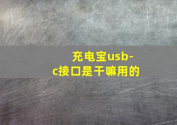 充电宝usb-c接口是干嘛用的